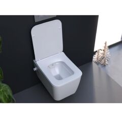 Hera Rimless Entegre Ara Musluklu Asma Klozet